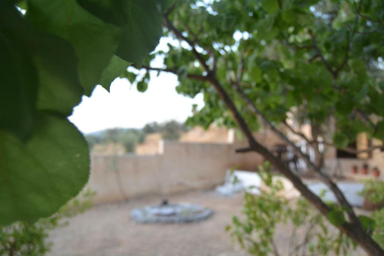 Our Villa'S Private Apartments - Hq Budget Stay - Wonderful Horizon View Of Jerash Jarash Eksteriør billede